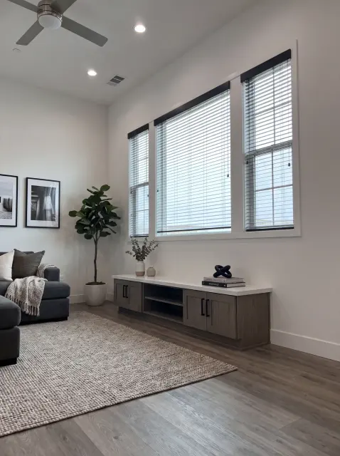 Aluminum Blinds, photo 6