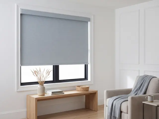 Roller Shades, photo 1