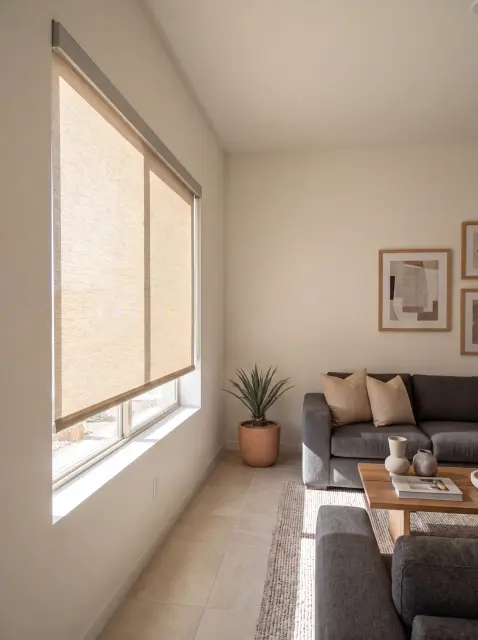 Roller Shades, photo 2