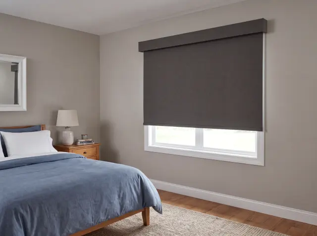 Roller Shades, photo 3