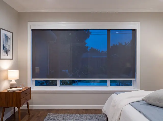 Roller Shades, photo 5